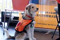 Japan Hearing Dogs for Deaf People