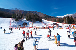 駒根高原滑雪場