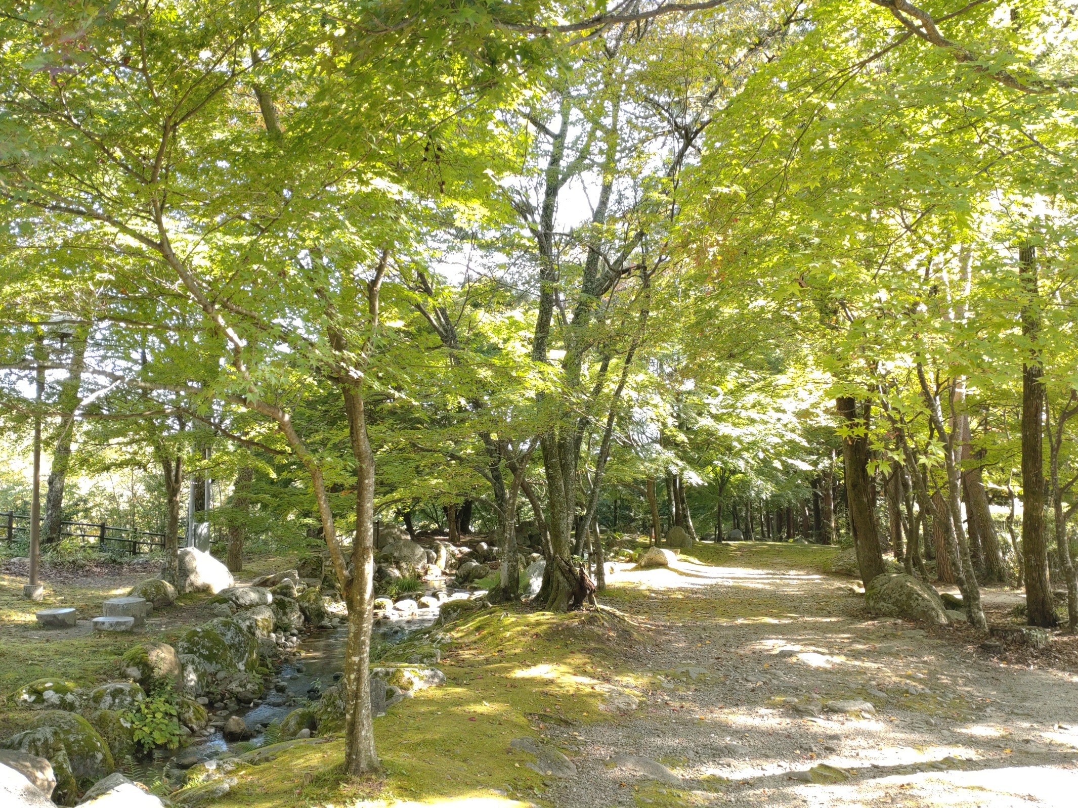こまくさ橋東側