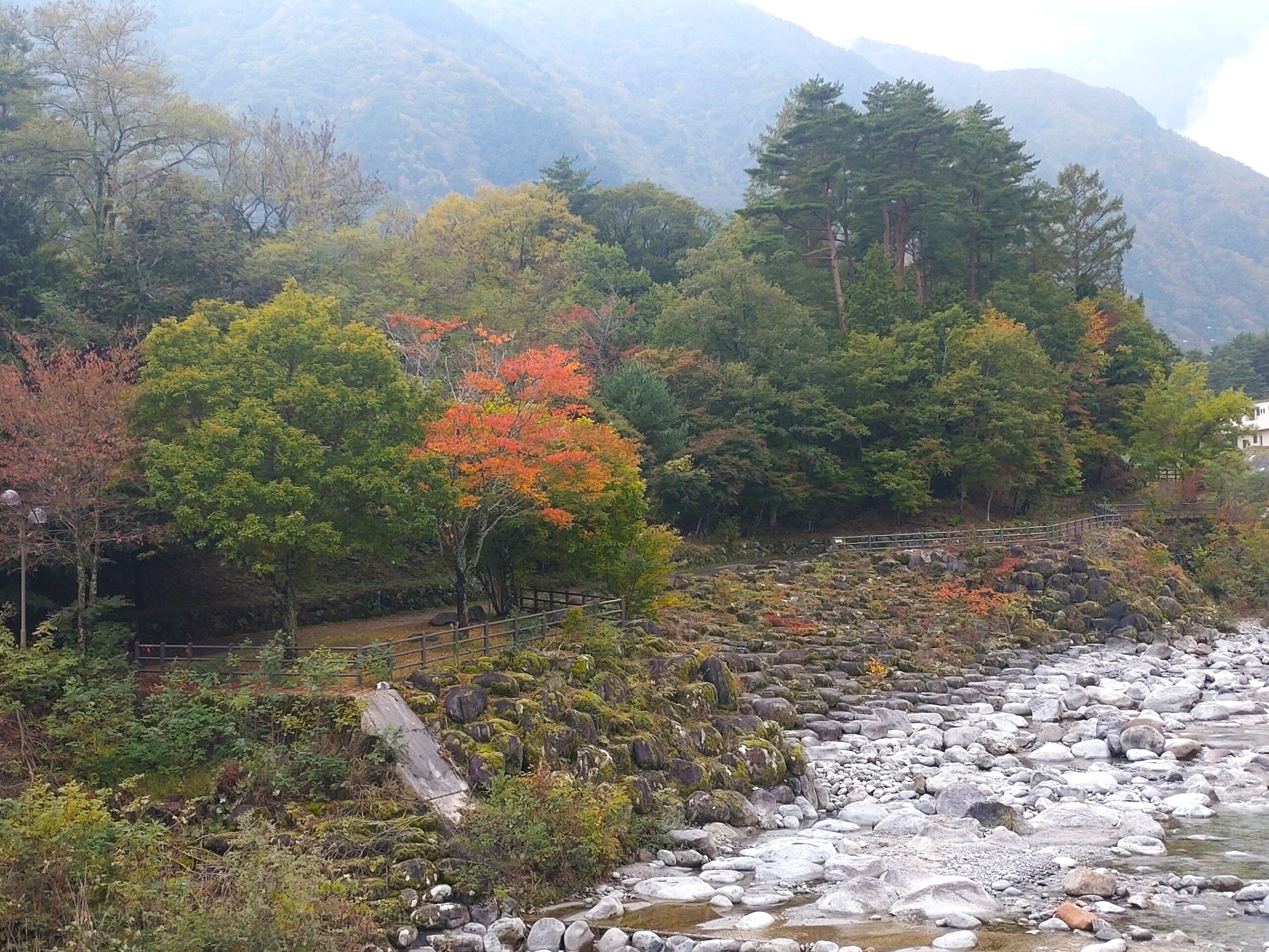 081020こまくさ橋より西側_駒ヶ根市