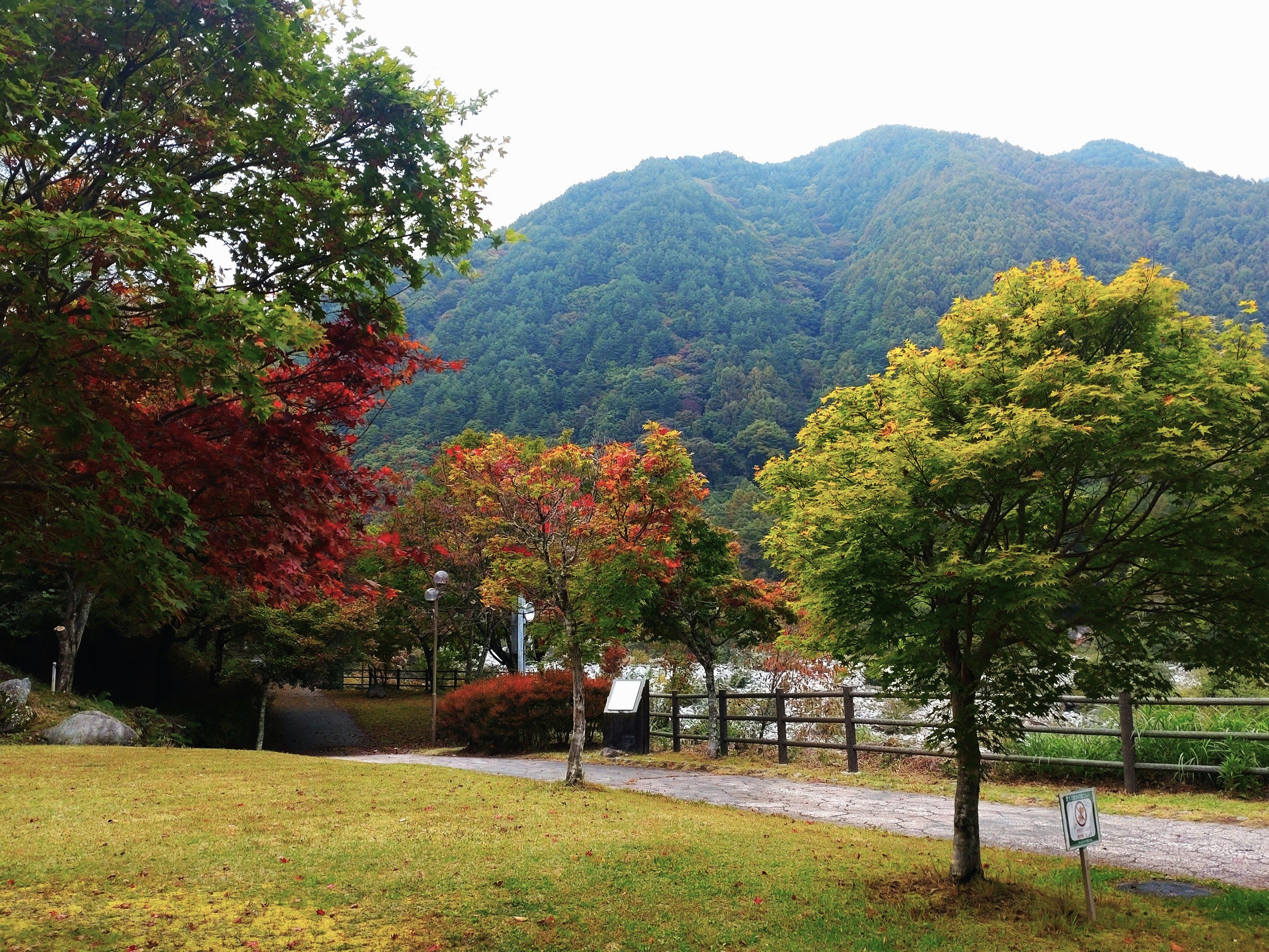081020こまくさ橋手前1