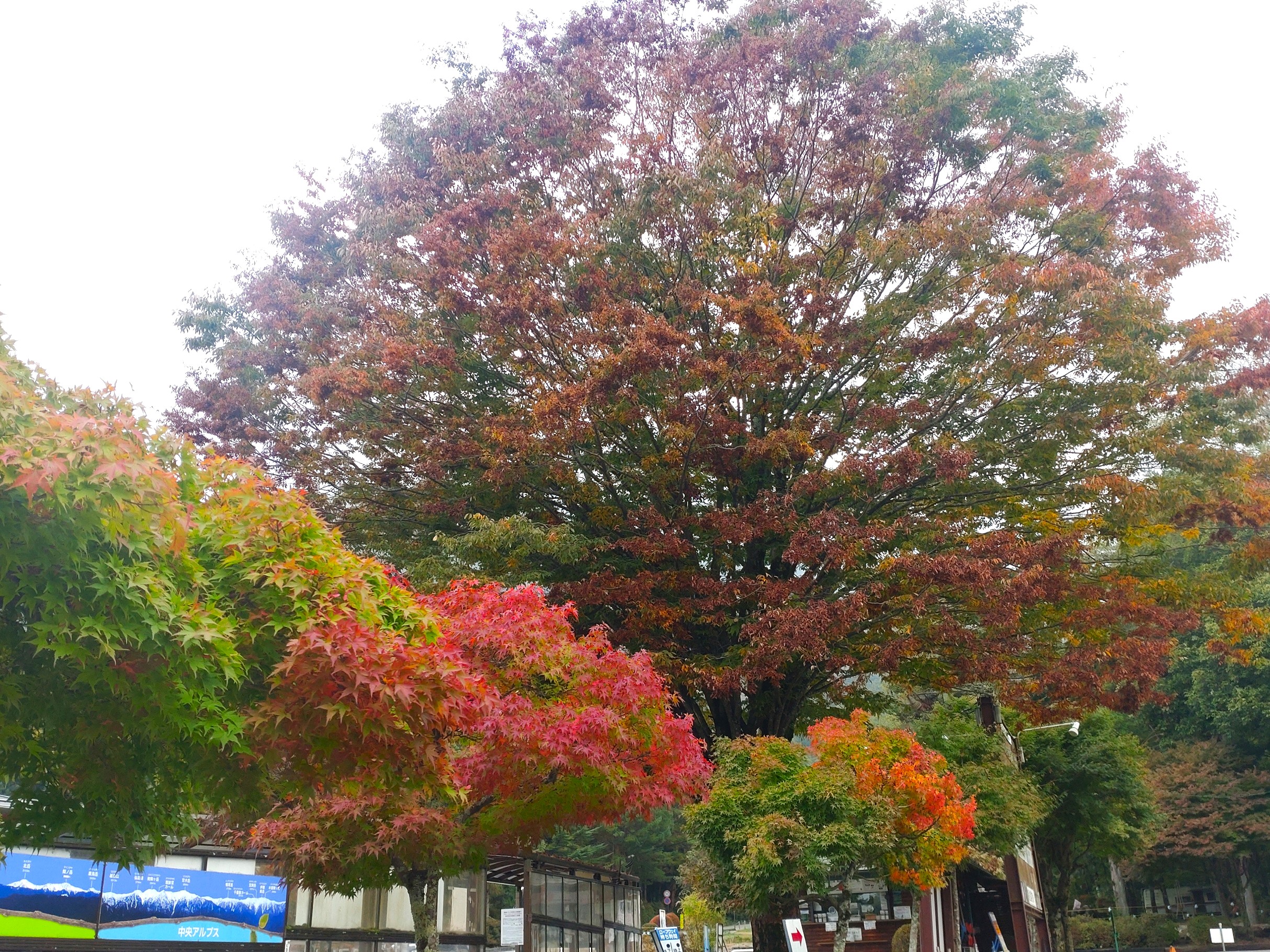 081020菅の台BC