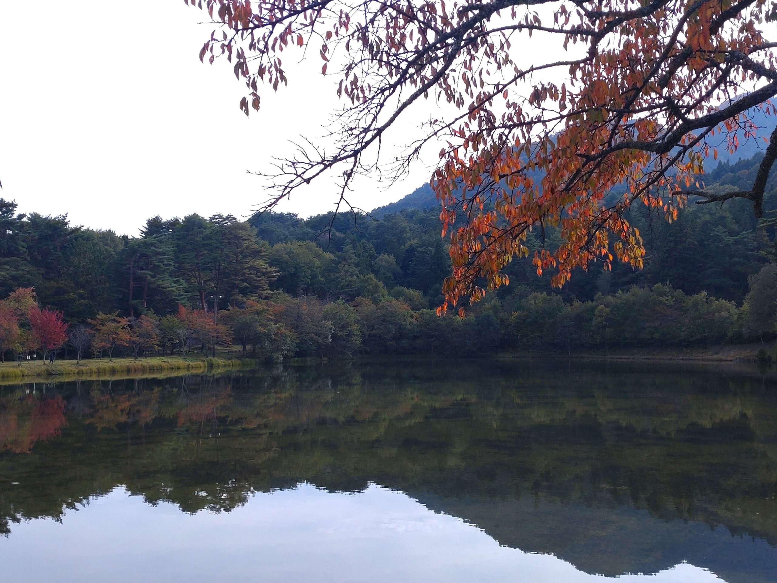 031023大沼湖2