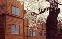 桜と木造校舎